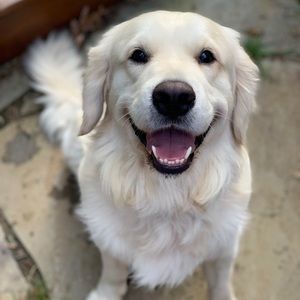 Meet your Posher, Banks